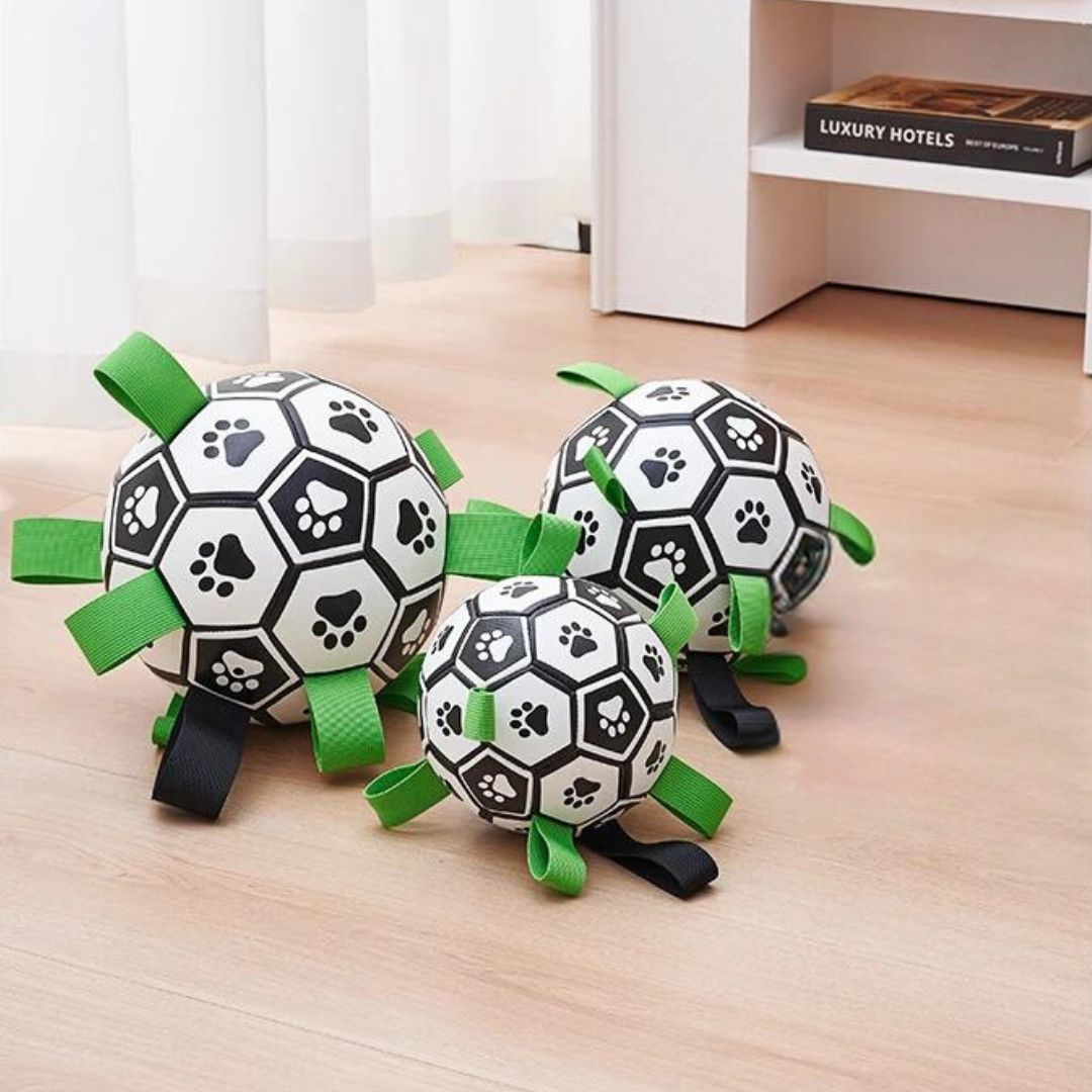 Ballon pour chien | JoyBall™