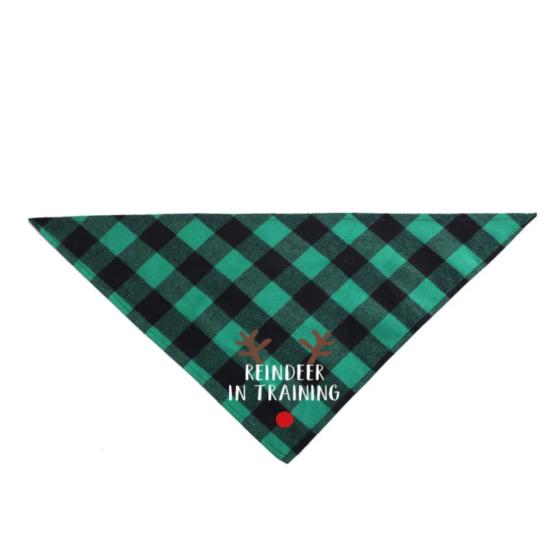 Bandana Anniversaire / Noël Chien