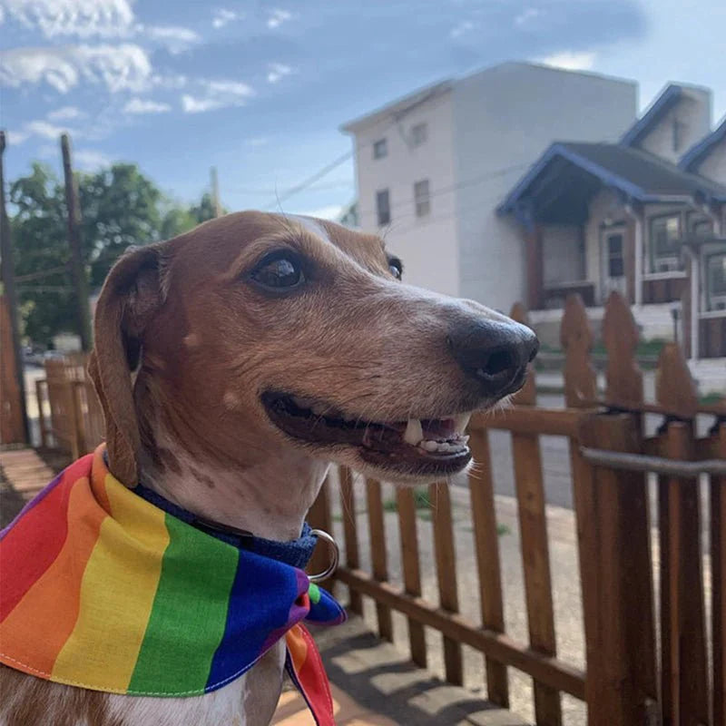 Bandana Arc-en-ciel pour Chien