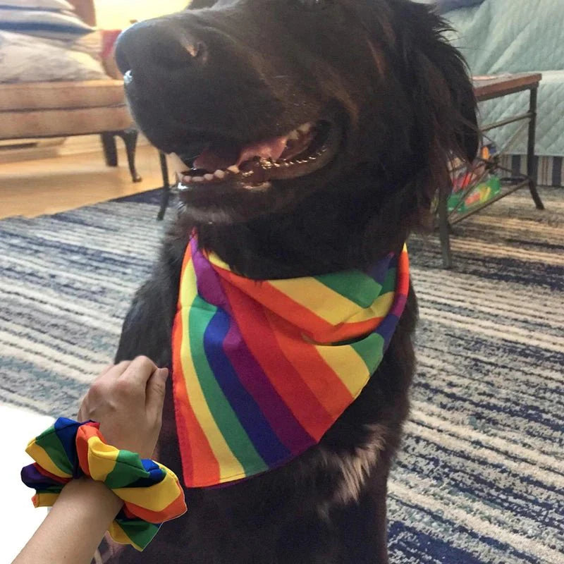 Bandana Arc-en-ciel pour Chien