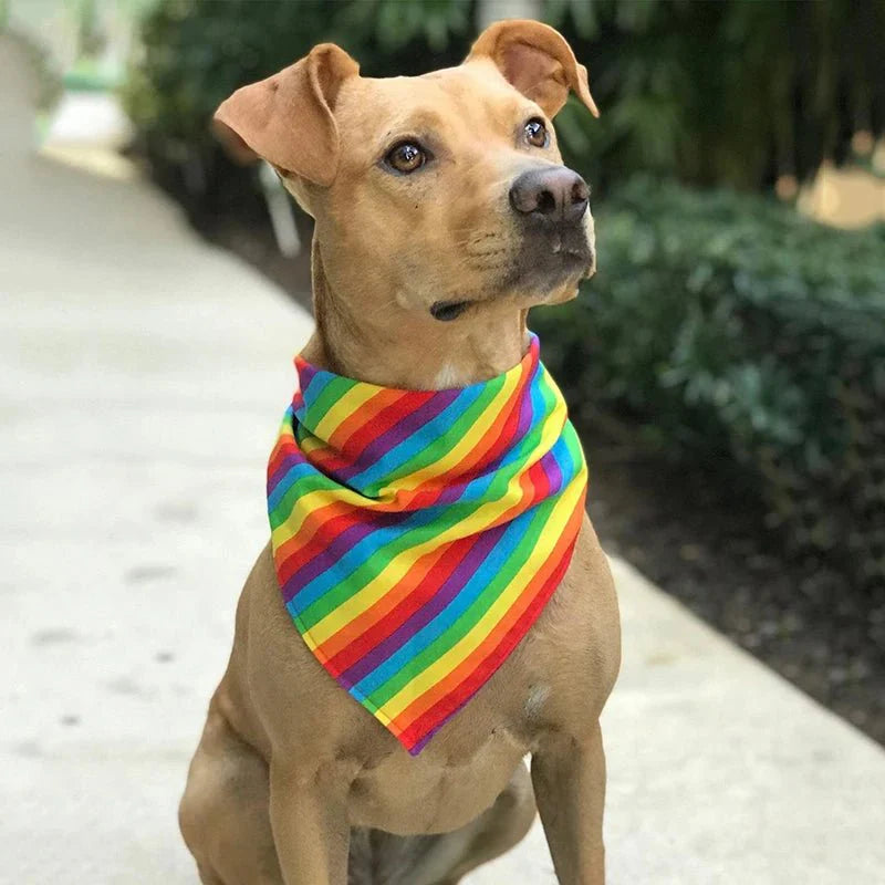Bandana Arc-en-ciel pour Chien