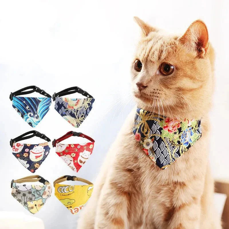 Bandana Chat Illustration Vague