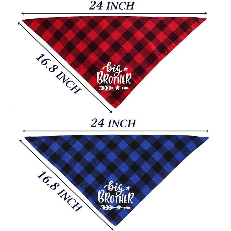 Bandana Chien Annonce Grossesse