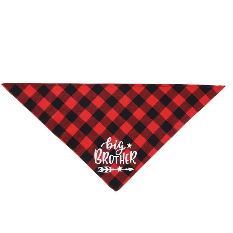 Bandana Chien Annonce Grossesse