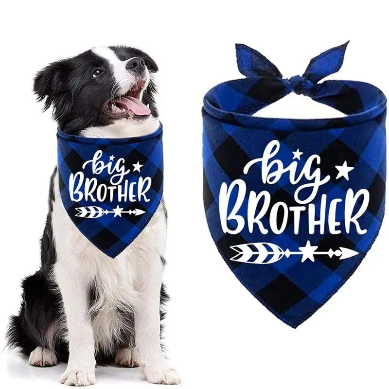 Bandana Chien Annonce Grossesse