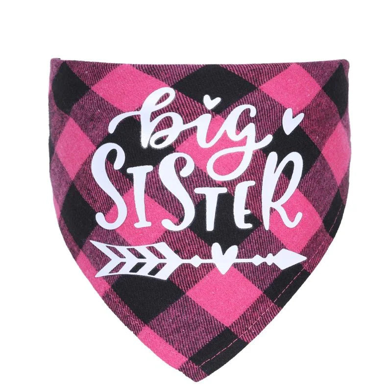 bandana grande soeur chien