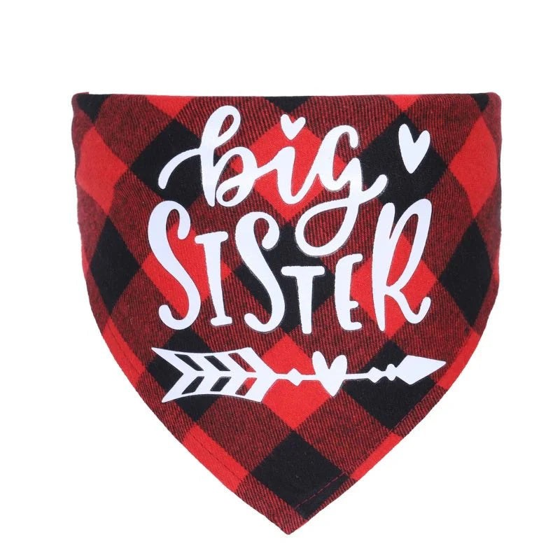 bandana big sister chien