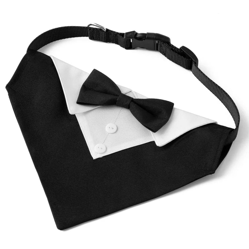 Bandana Chien Mariage