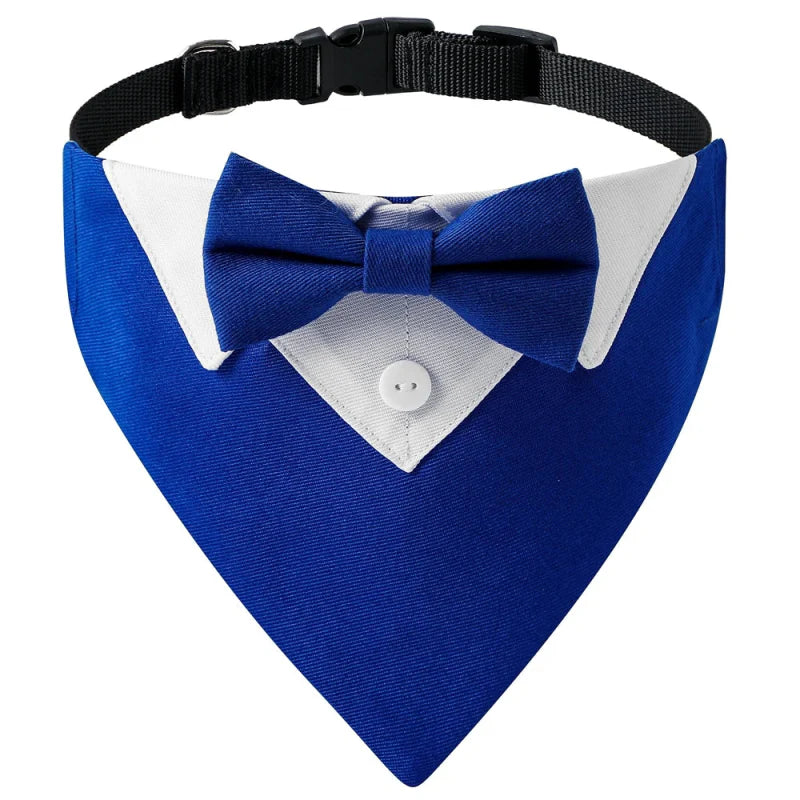 Bandana Chien Mariage