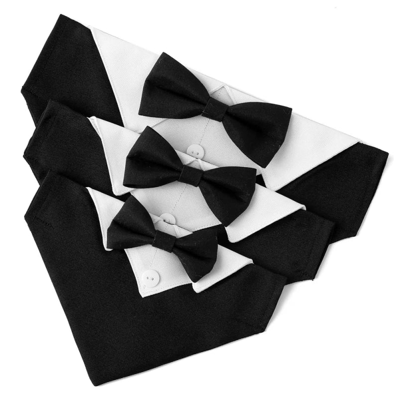 Bandana Chien Mariage