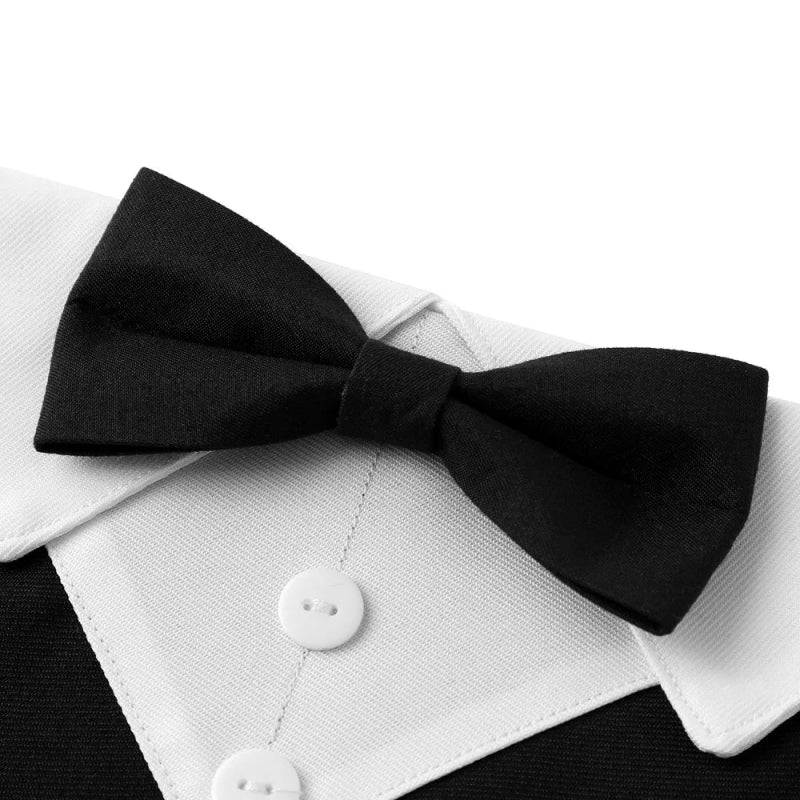 Bandana Chien Mariage
