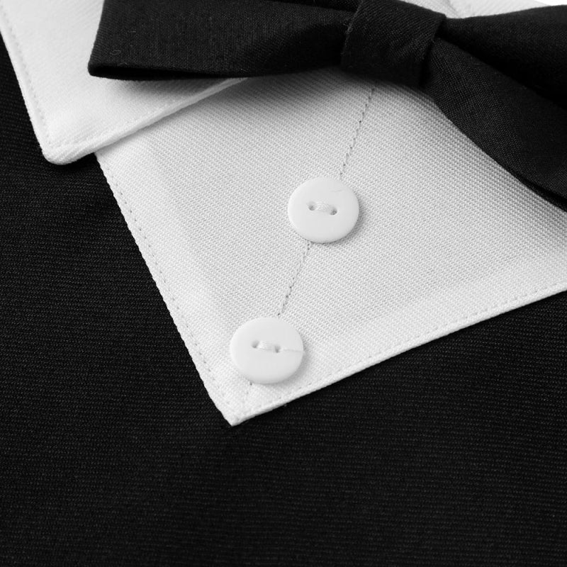 Bandana Chien Mariage