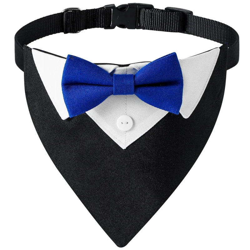 Bandana Chien Mariage