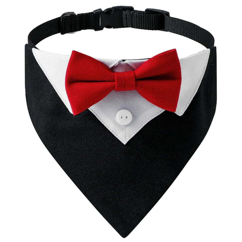 Bandana Chien Mariage