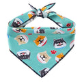 Bandana Chien motif Chat