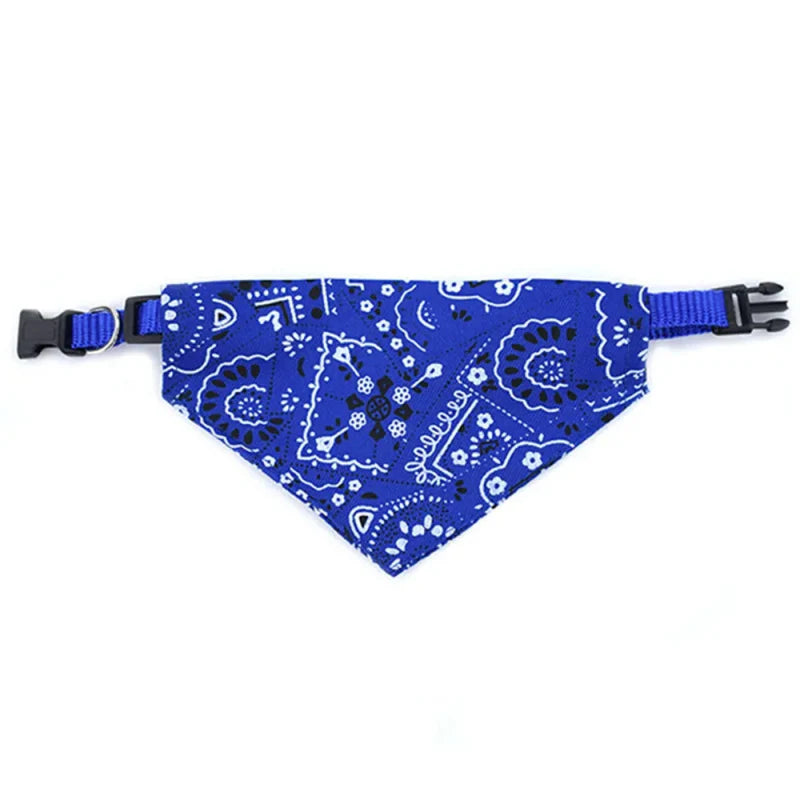 bandana bleu pétant chien