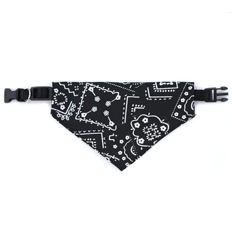 bandana noir chien