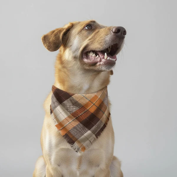 Bandana Tissu A Carreaux Pour Chien