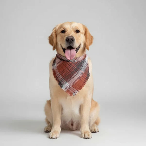 Bandana Tissu A Carreaux Pour Chien
