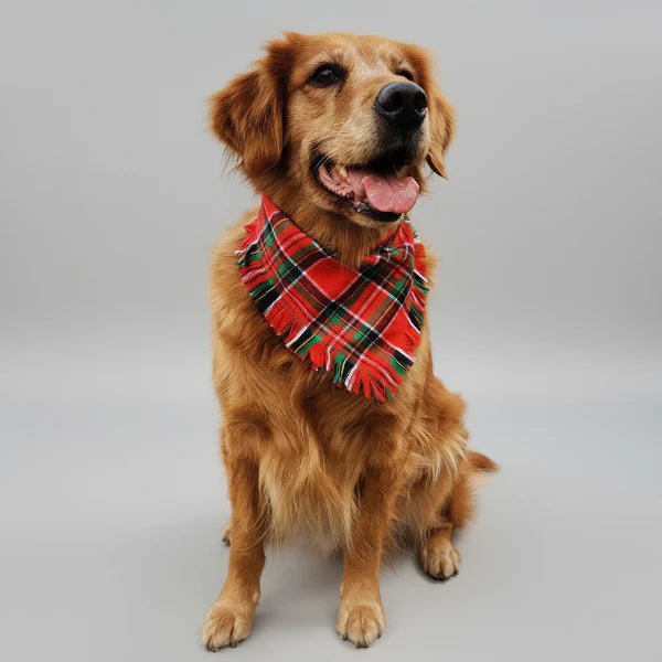 Bandana Tissu A Carreaux Pour Chien