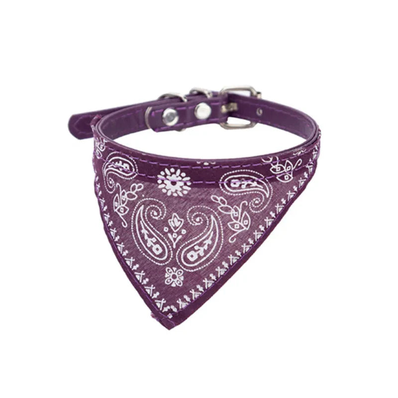 Bandana Violet Chat