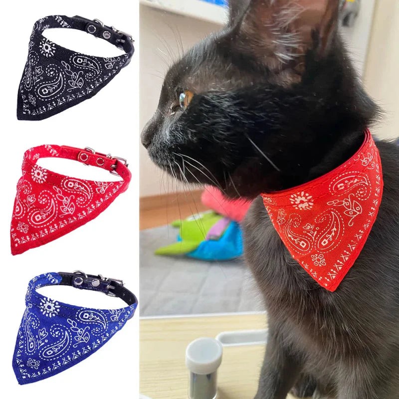 Bandana Rouge pour Chat