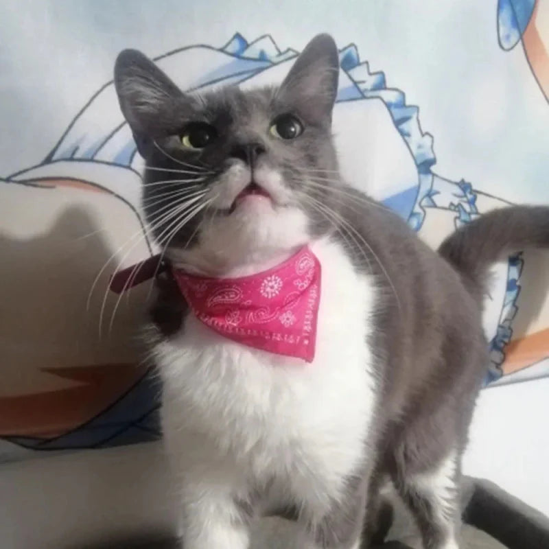 Bandana Rouge pour Chat