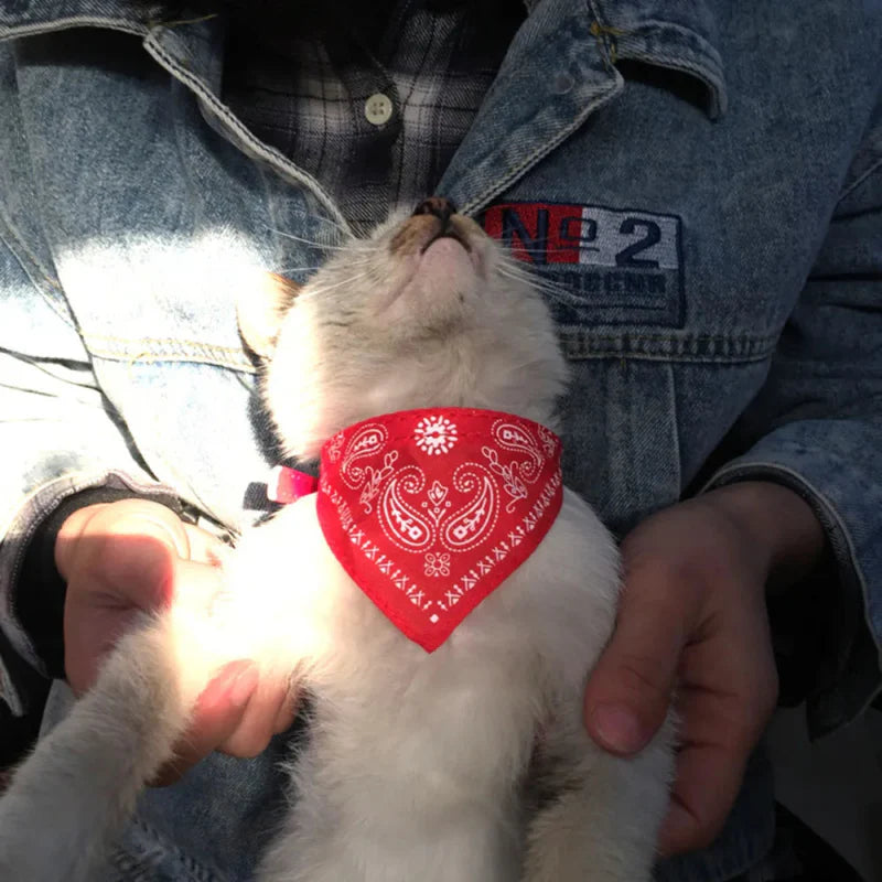 Bandana Rouge pour Chat