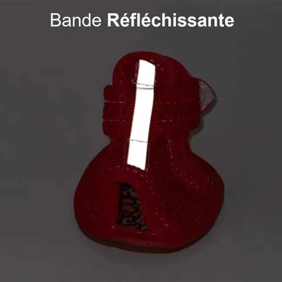 Chaussure Pour Chien Été