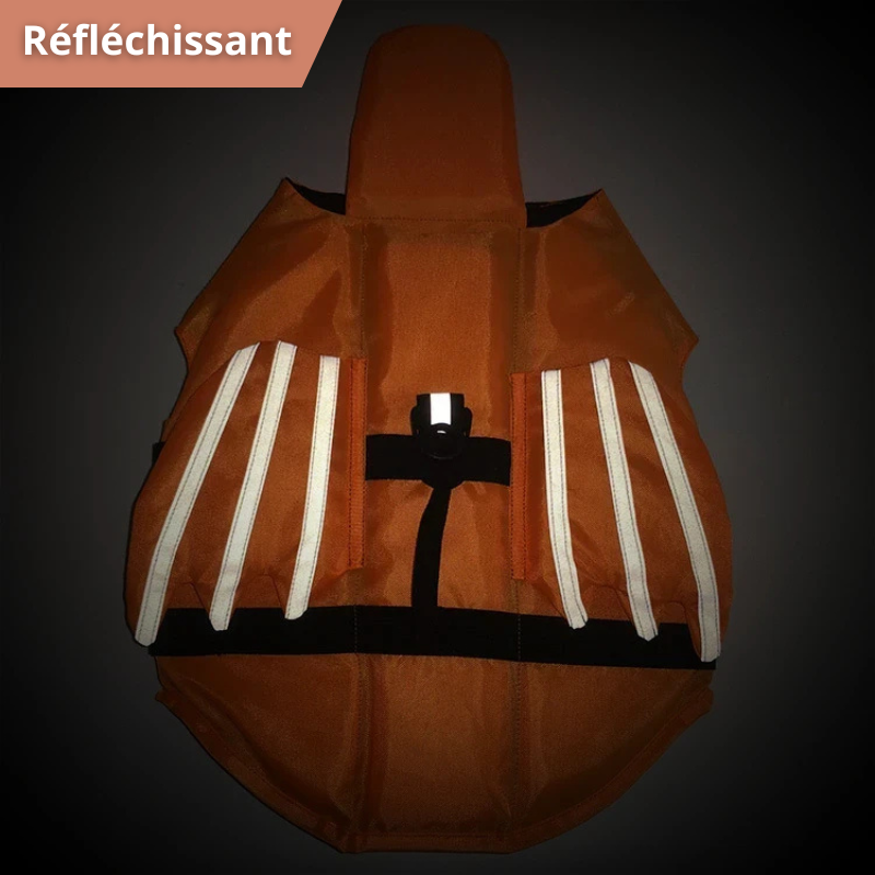 Harnais Flottant Chien
