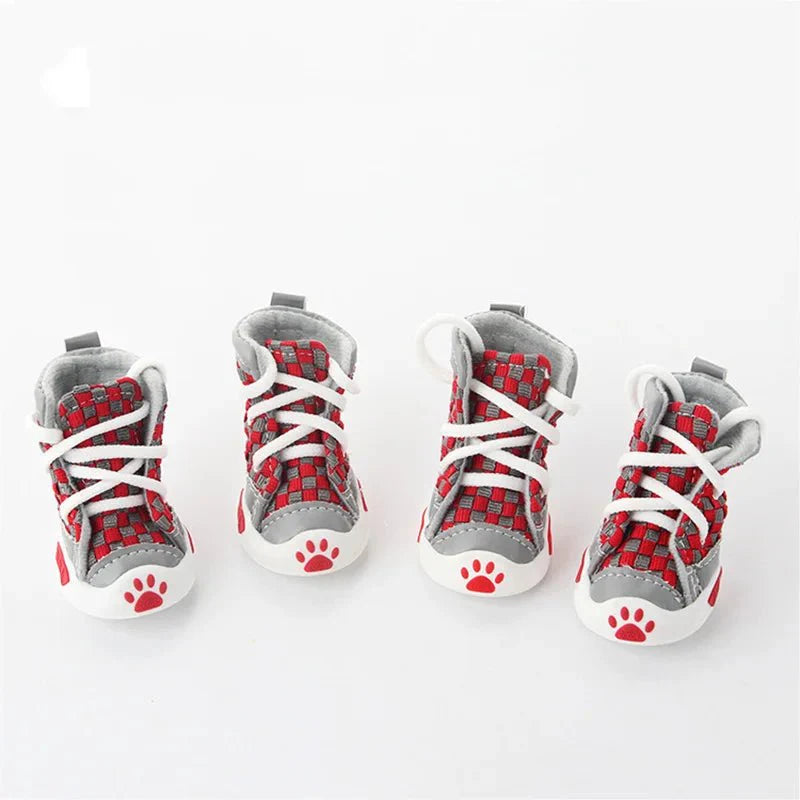 Baskets rouges chien