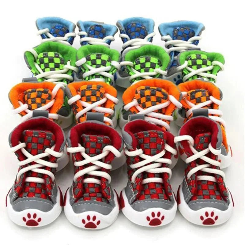 Baskets pour Chien à Lacets