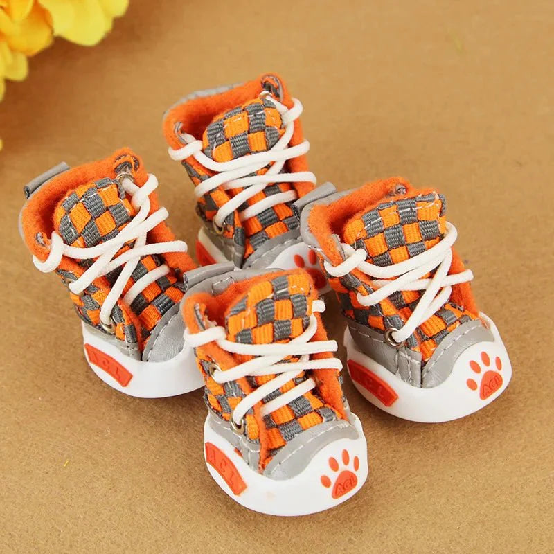 Baskets orange chien