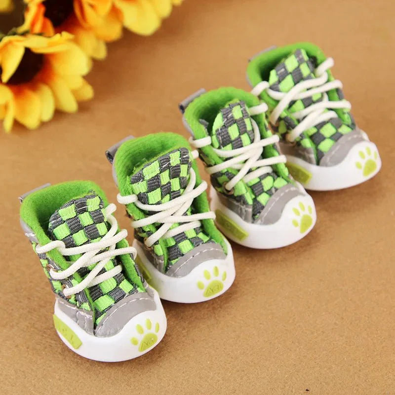 Baskets vertes chien