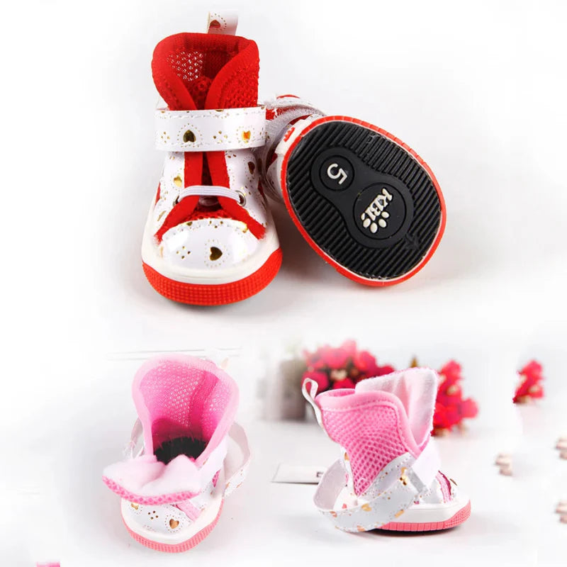 Baskets pour Chien Été