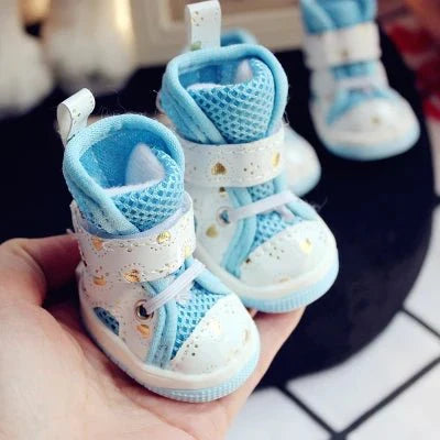 baskets bleu clair chien