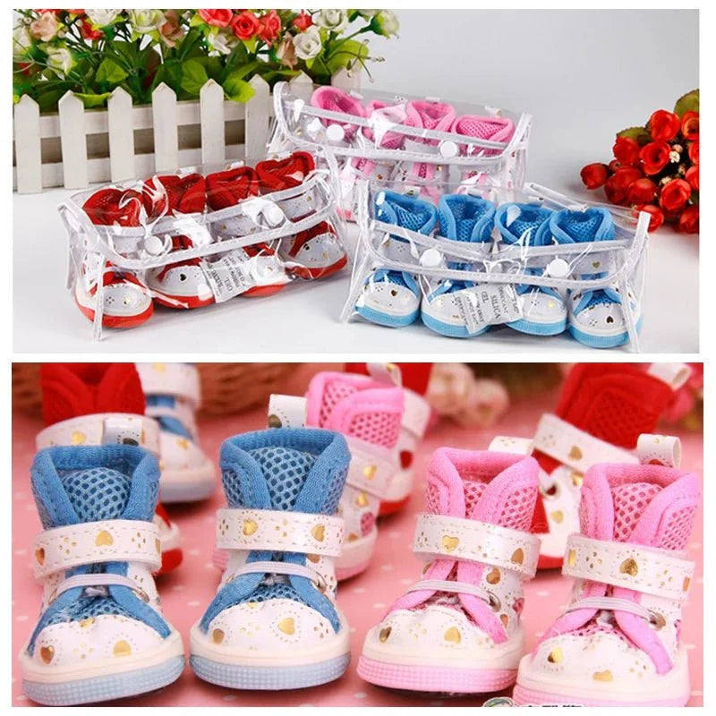 Baskets pour Chien Été