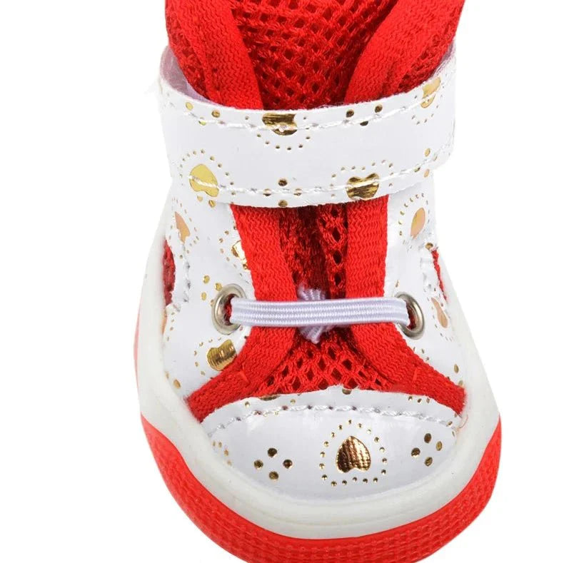 Baskets pour Chien Été