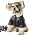 Blouson Aviateur pour Chien