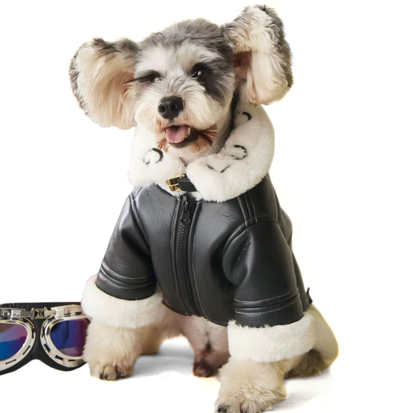 Blouson Aviateur pour Chien