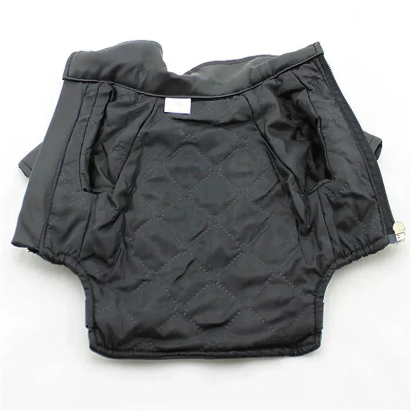 Blouson Cuir pour Chien