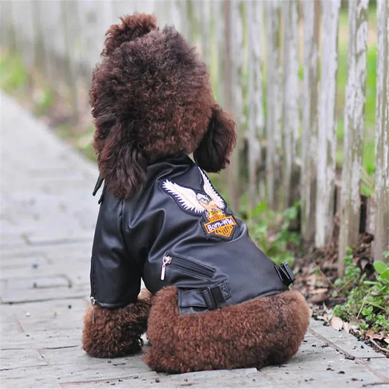 Blouson Cuir pour Chien