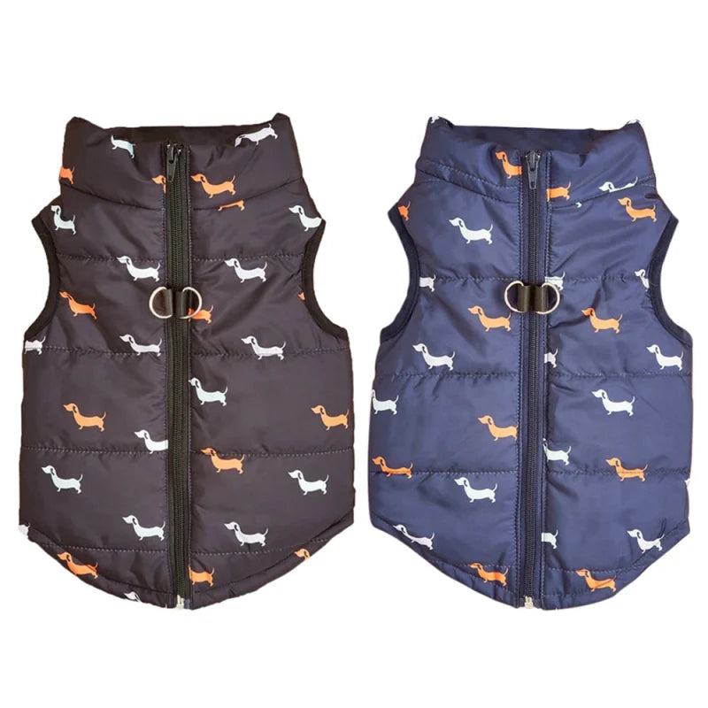 Blouson pour Petit Chien