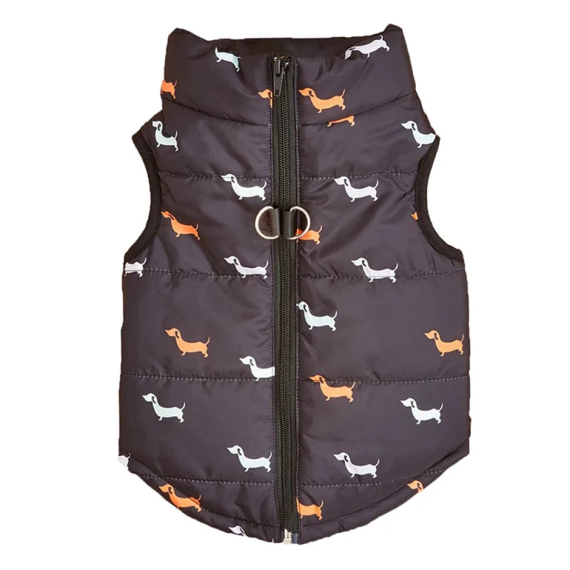 Blouson pour Petit Chien