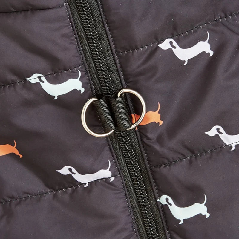 Blouson pour Petit Chien