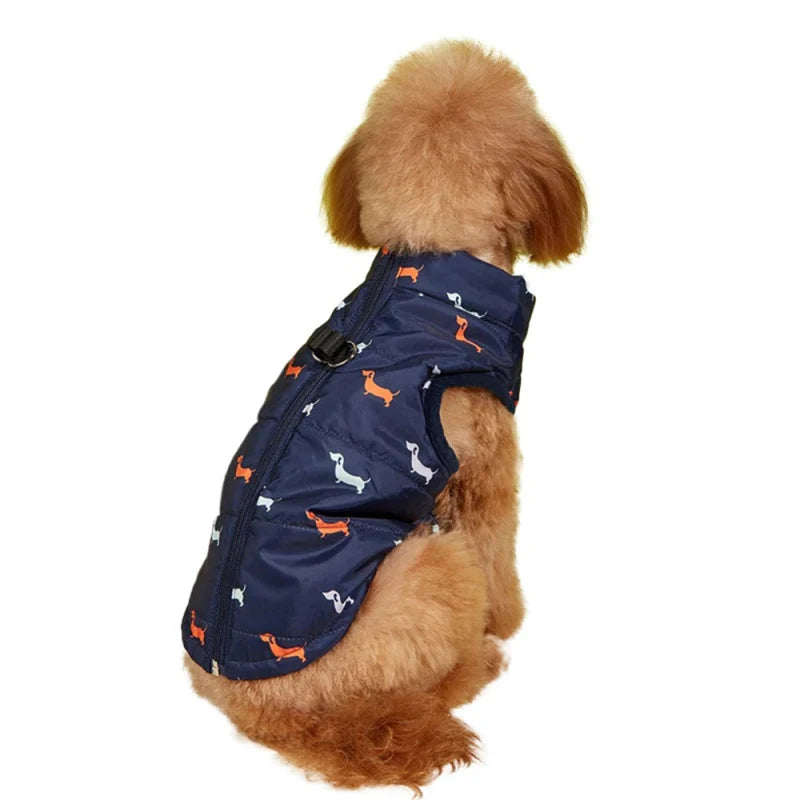 Blouson pour Petit Chien