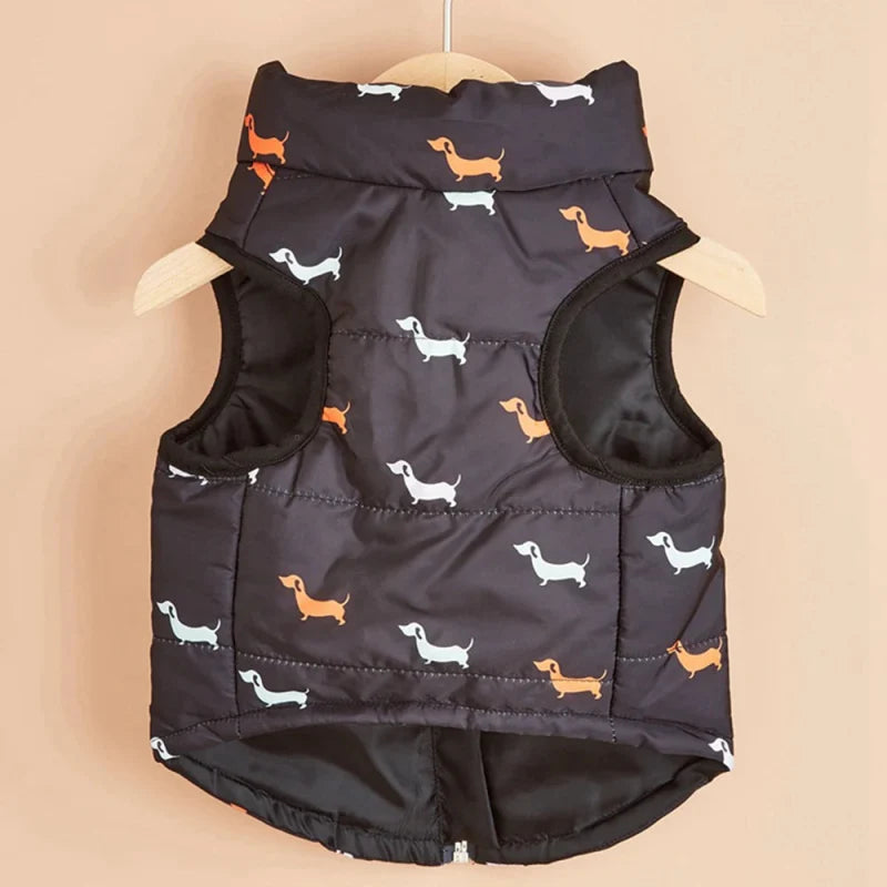 Blouson pour Petit Chien