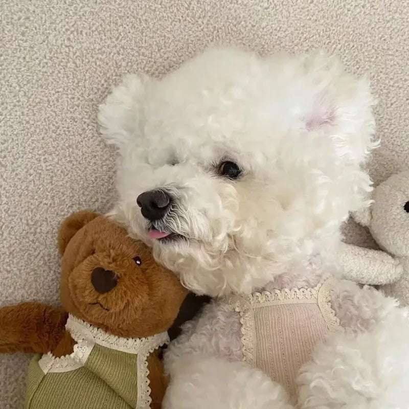 Body pour chien post-opératoire noir taille XXXS