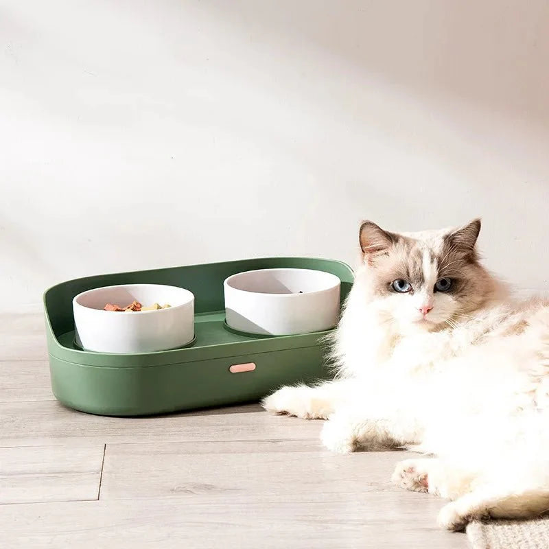 Bol Céramique Double Design Pour Chien
