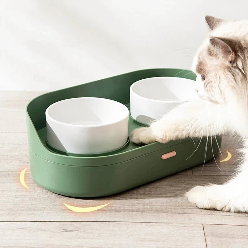 Bol Céramique Double Design Pour Chien